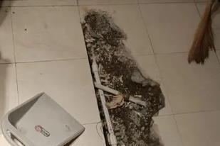平果卫生间漏水检测电话